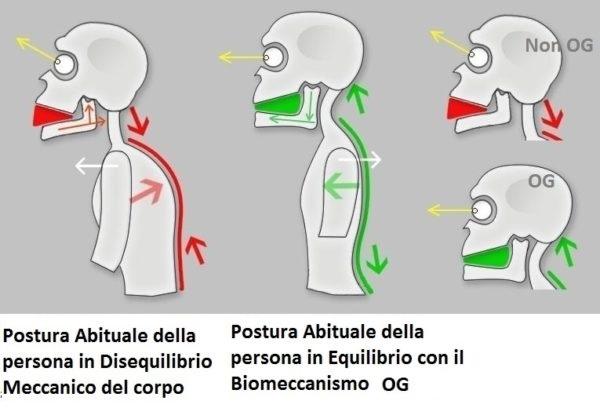 2019 – OG 2.0: il concetto di POSTURA snatura la scoperta del Meccanismo che Sostiene Corpo e Psiche