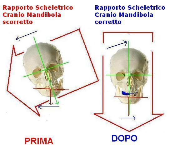 Ortodonzia, gnatologia e postura: si parte da “dogmi” sbagliati?
