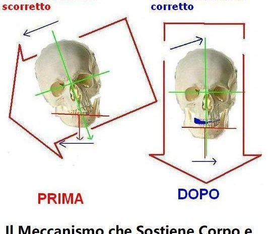 Quando il CPT-OG incontra la Scienza, è subito Armonia.