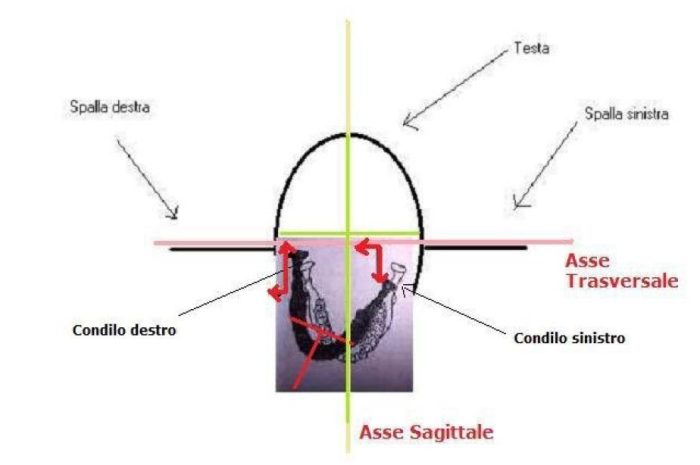 Esiste una palestra e un Personal Trainer per il movimento della masticazione.