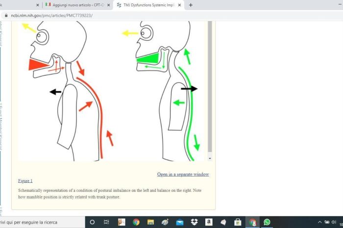 CPT-OG su “US National Library of Medicine National Institutes of Health” (Pub Med):”una revisione della recente letteratura”