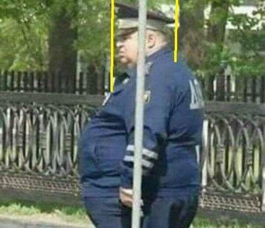 Il corpo umano spesso ingrassa per mantenere il peso della testa in Equilibrio Meccanico Abituale. Lo sapevate?