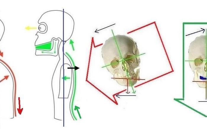 OcclusioneGravità è l’applicazione al corpo umano di una formula matematica.