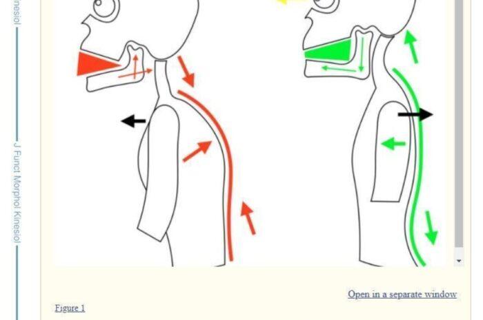 Postura, fitness, rimedi della nonna, benessere e salute. Social pieni di megafoni rotti. Facciamo il punto della situazione dopo anni di politica di istituzionalizzazione: