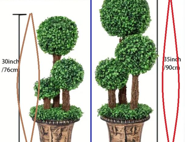 Il percorso progressivo CPT-OG si conclude quando&hellip;..