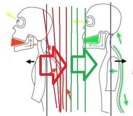 Conscious Practice Training OG (2019-2022)