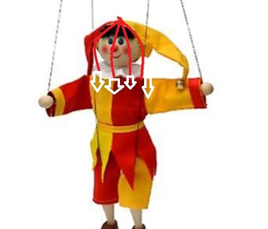 Marionette e Corpo Umano: chi sostiene cosa?
